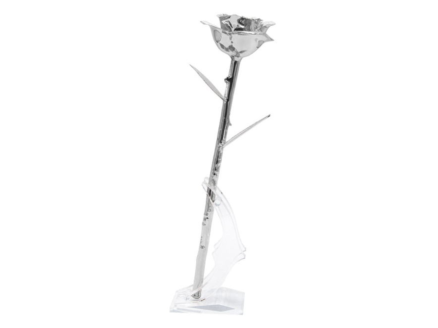 Platinaruusu Aphroditeproduct image #4