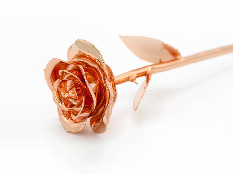 Ruusukullatturuusu Aphroditeproduct image #4