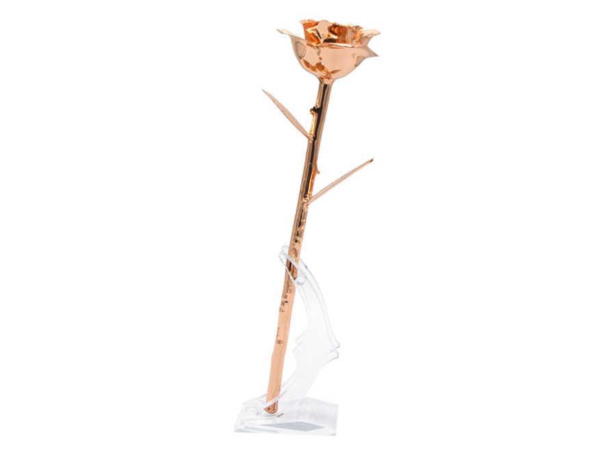 Ruusukullatturuusu Aphroditeproduct image #5