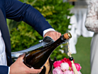 Samppanjasapeli Fox Sciabola del Sommelier product thumbnail #2